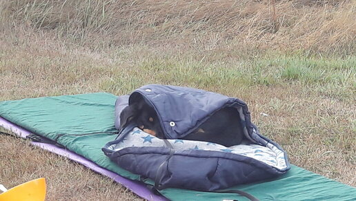 Overnachting met hond