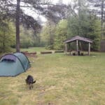 Overnachting met hond op fietsvakantie