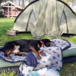 Overnachting met hond op fietsvakantie