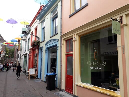 Fietsvakantie met je hond