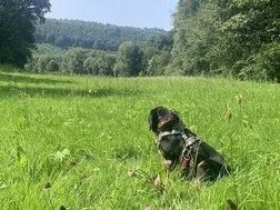 Fietstocht naar praag