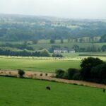 Fietsvakantie met hond in Limburg