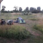 Fietsvakantie met hond in Zeeland