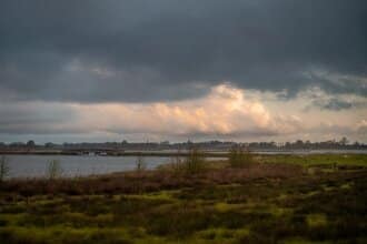 Fietsvakantie met hond in Groningen